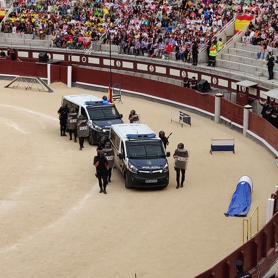 Las Ventas 2019 39