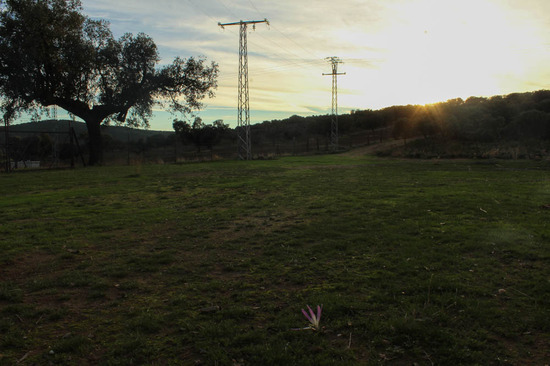 Daniel Santiago Alcázar Osa MEL2 foto 2 Concurso Fotografía Satafi