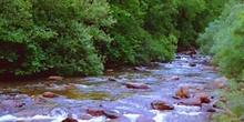 Río l´Angonella, Principado de Andorra