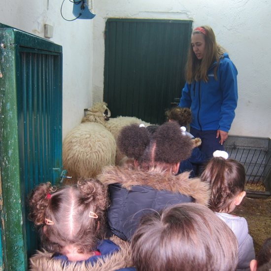Granja Escuela Educación Infantil Curso 2017-18 29