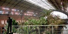 Vista del jardín tropical de la estación de Atocha, Madrid