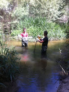 Inspeccion rio guadarrama 2
