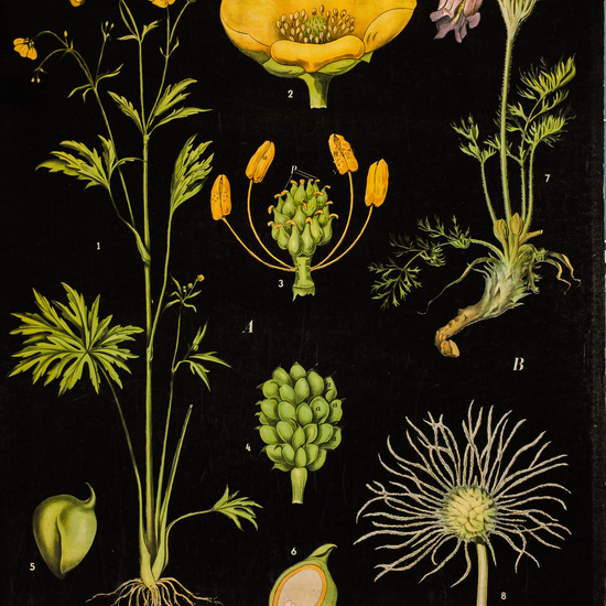 IES_LOPEDEVEGA_CIENCIASNATURALES_012