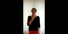 Rosa