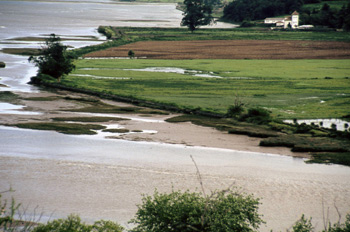 Porreu de L´Anciena en la ría de Villaviciosa, Principado de Ast