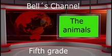 BELL´S CHANNEL DICIEMBRE