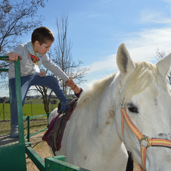GRANJA ESCUELA ALBITANA 26