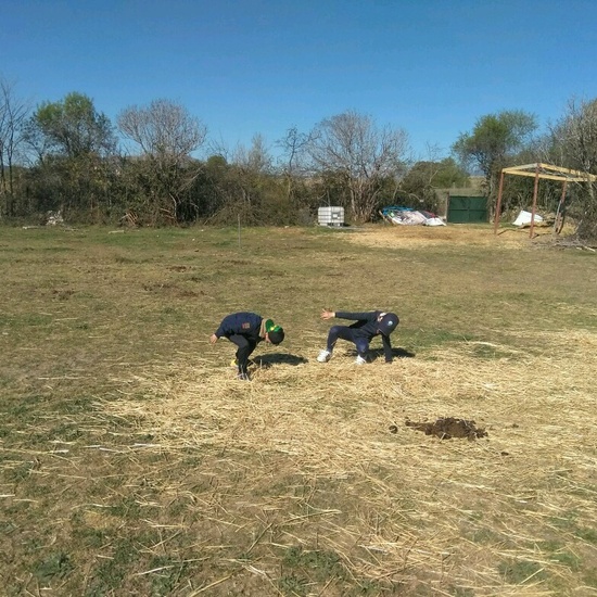 SALIDA A NUESTRO ENTORNO 2
