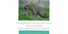 Fisiología de la reproducción en los grupos animales (gametogénesis y fecundación)
