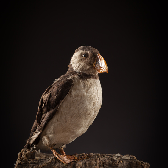 IES_CERVANTES_BIOLOGIA_043