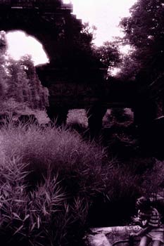 Imagen infrarroja en Blanco y Negro