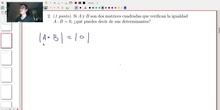 Matrices y Determinantes - Examen B Ejercicio 2