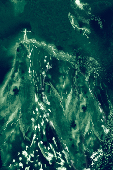 Don álvaro se lanza al vacio