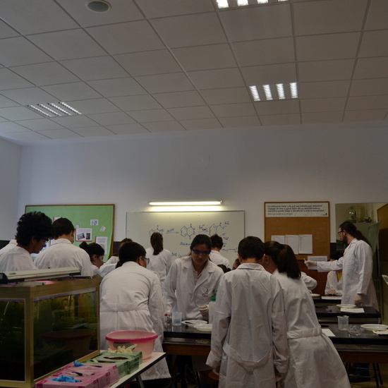 Proyecto de Aprendizaje y Servicio 16