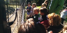 2016_inf 4 años a visita la granja 18