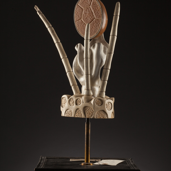 IES_SANISIDRO_BIOLOGIA_159