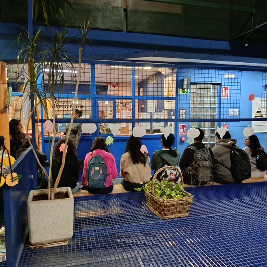 Paseo vivencial con Economistas sin Fronteras (2025-26)