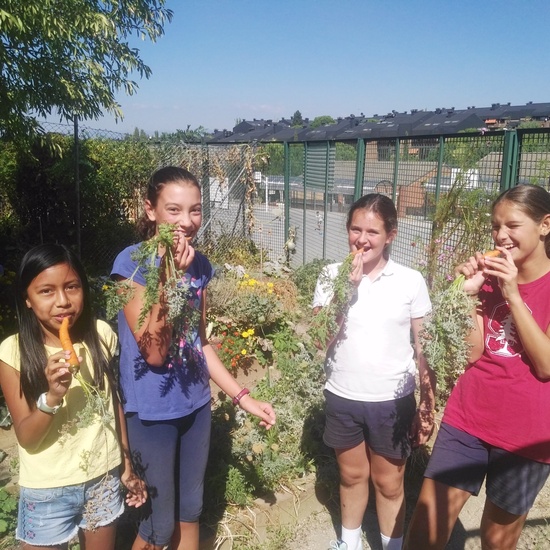 2019_05_El huerto del cole no para...CEIP FDLR_Las Rozas 23