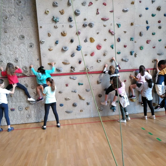 Actividad Multiaventura_4º de Primaria_CEIP Fernando de los Ríos_Las Rozas 2