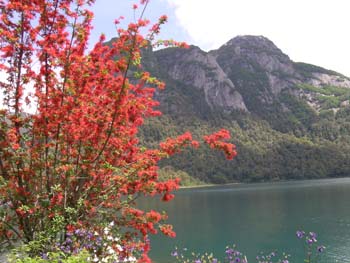 Puerto Blest, Argentina