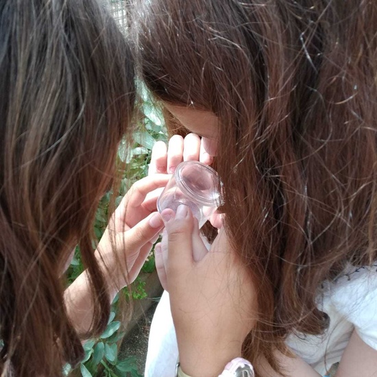 2019_06_07_Los alumnos de Quinto observan los insectos del huerto_CEIP FDLR_Las Rozas 21