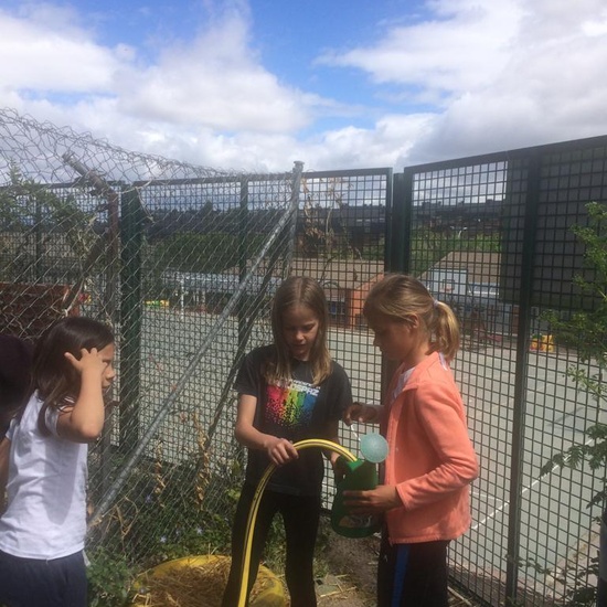 2019_05_Los alumnos de 4º en el Huerto_CEIP FDLR_Las Rozas 10