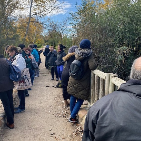 12/11/2019_Polvoranca 8