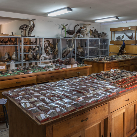 IES_SANISIDRO_EDIFICIO_034