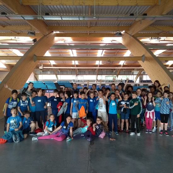 MINIOLIMPIADAS 4º CURSO 8