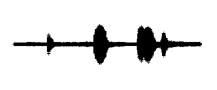 Sonido del canto de un periquito