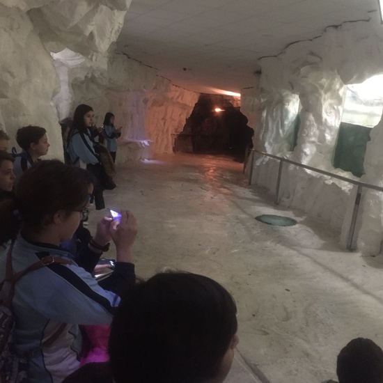 Faunia: taller y visita guiada 5