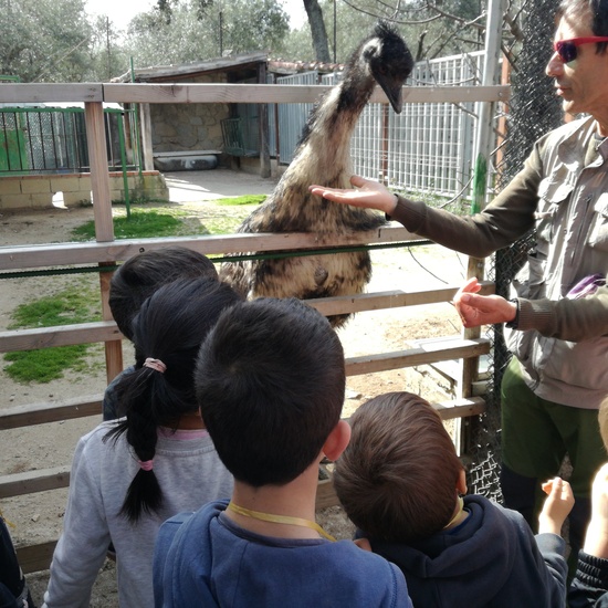 Infantil en la granja 16