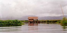 Huertas flotantes, Myanmar