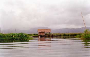 Huertas flotantes, Myanmar