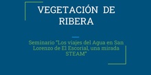 Dossier Vegetación de Ribera