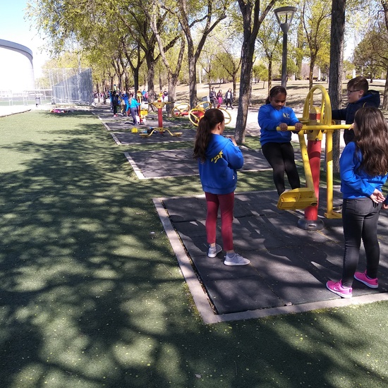 Arqueopinto 4º 19 4