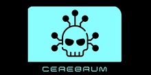 Cerebrum's final message
