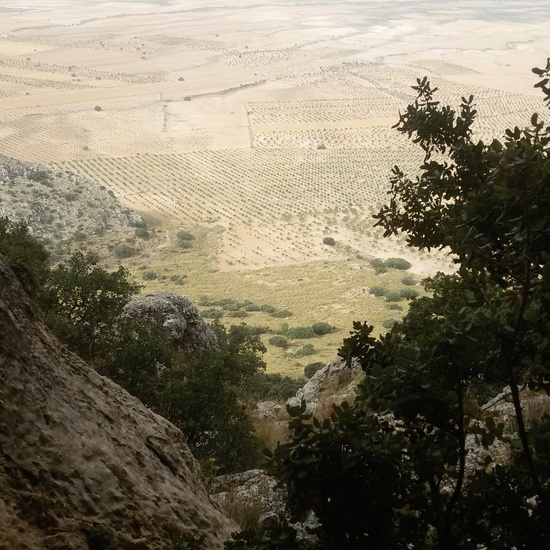 LOCALIZACIÓN CUEVA LETREROS 3