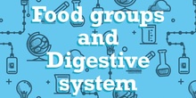 3º Food groups and Digestive System