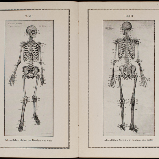 IES_CARDENALCISNEROS_CATALOGOS_109