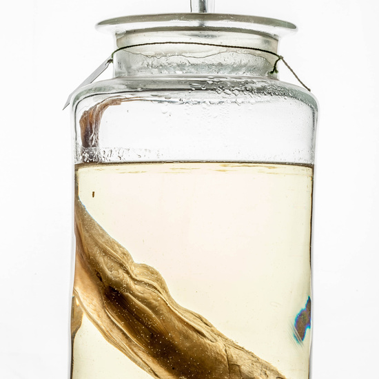 IES_CARDENALCISNEROS_CIENCIASNATURALES_352