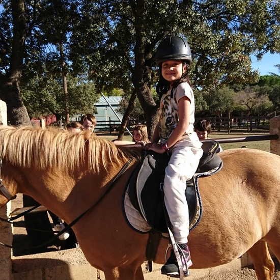 Mohernando 2017_2 27