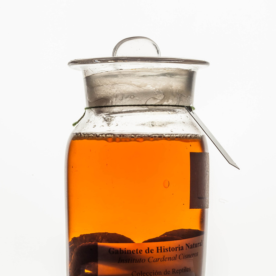 IES_CARDENALCISNEROS_CIENCIASNATURALES_256