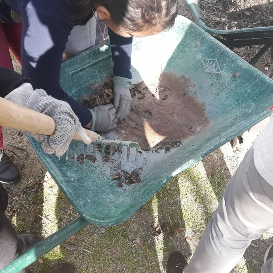 El cole en imágenes 10