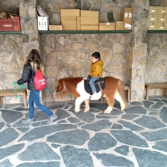 Granja de los Cuentos Infantiles II 43