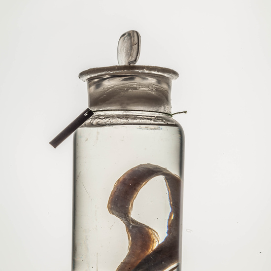 IES_CARDENALCISNEROS_CIENCIASNATURALES_143