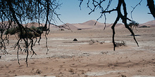 Cobijo en el desierto, Namibia