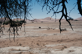Cobijo en el desierto, Namibia