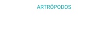 ARTRÓPODOS- CRUSTÁCEOS