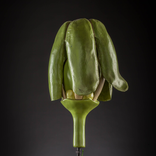 IES_CARDENALCISNEROS_BOTÁNICA_III_MODELOS_009